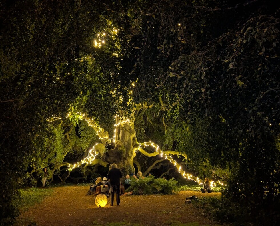 Shamanic healing arts